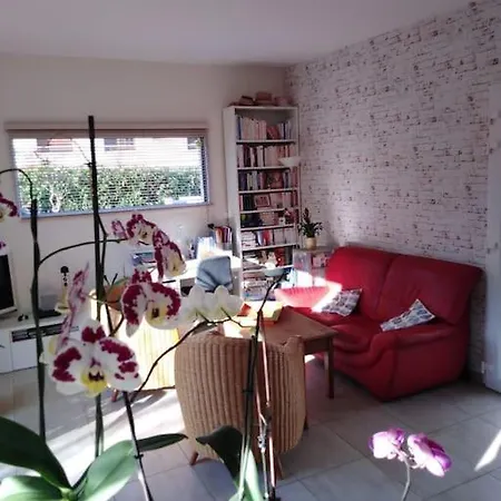Agreable Maison De Ville, Lumineuse Avec Jardin * Резе